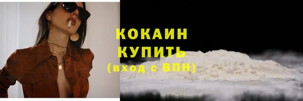 тгк Алзамай