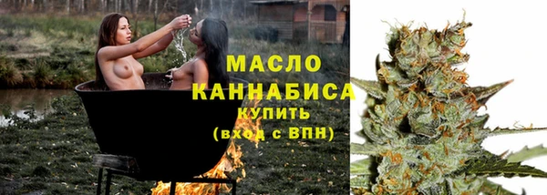 тгк Алзамай